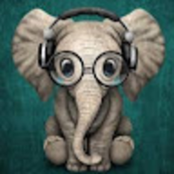 Meet your Posher, Tara - Picture 1 of 1